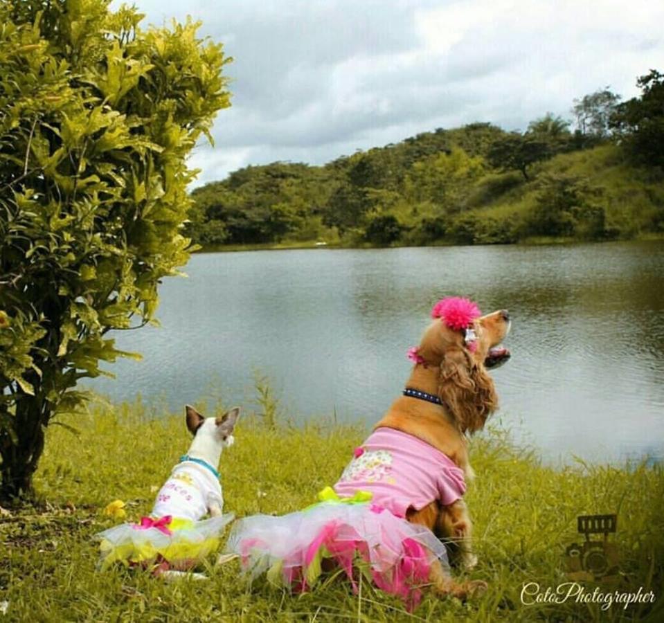 Hotel Vista Lago Santiago Kültér fotó
